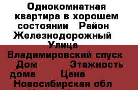 Однокомнатная квартира в хорошем состоянии › Район ­ Железнодорожный › Улица ­ Владимировский спуск  › Дом ­ 9/1 › Этажность дома ­ 9 › Цена ­ 10 500 - Новосибирская обл., Новосибирск г. Недвижимость » Квартиры аренда   . Новосибирская обл.,Новосибирск г.